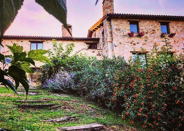 Il Vecchio Braciere Civitella de'Conti